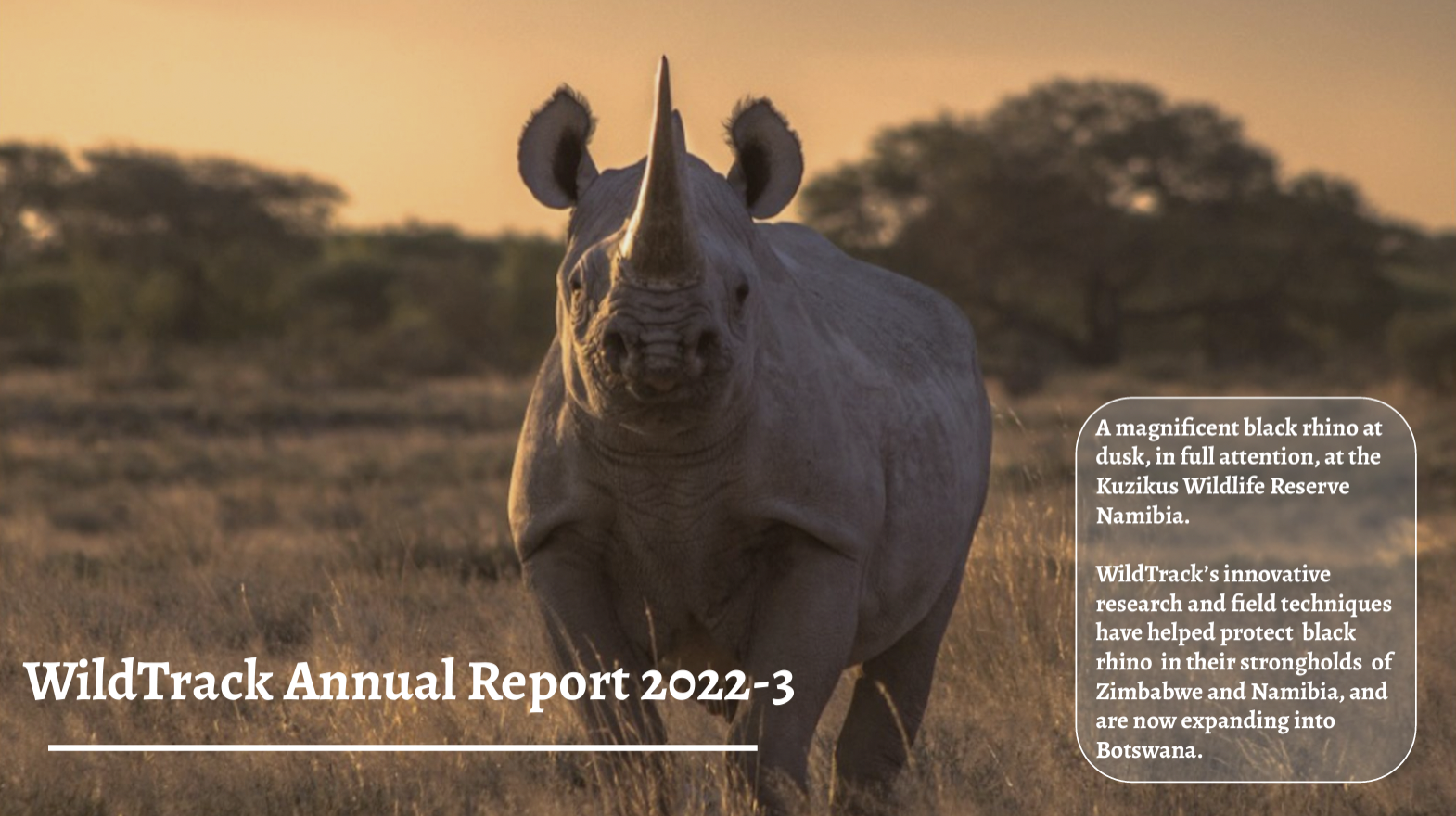 WildTrack Annual Report 2022-3 now out